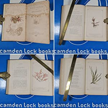 Load image into Gallery viewer, Ocean Flowers and their Teachings. By the Author of &quot;Wild Flowers and their Teachings&quot;. [Howard, Maria Matilda] Publication Date: 1846 Condition: Good
